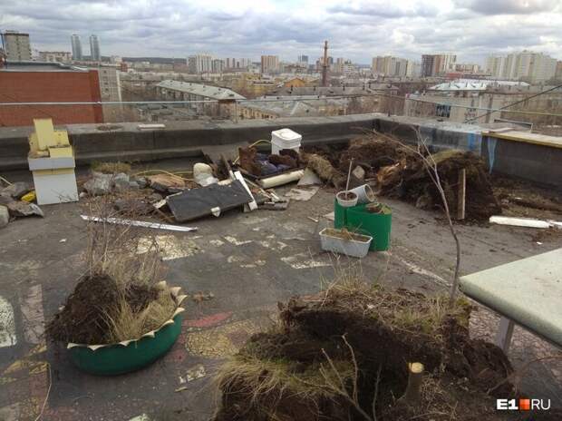В Екатеринбурге уничтожили сад на крыше 9-этажки, который 18 лет назад разбил местный житель 9-этажка, екатеринбург, на крыше, сад, уничтожили