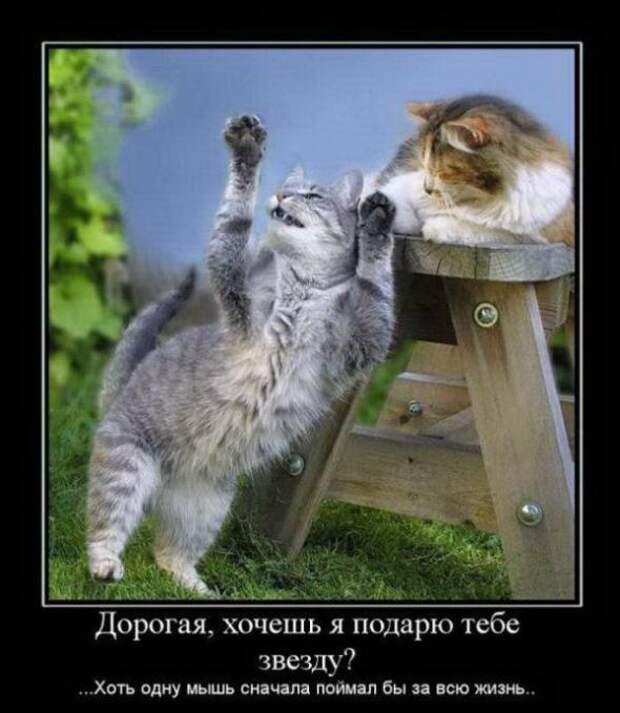 Подборка классных демотиваторов  № 58