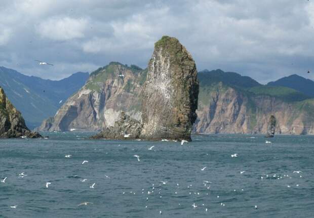 Камчатка. Морская прогулка по Авачинской бухте путешествия, факты, фото