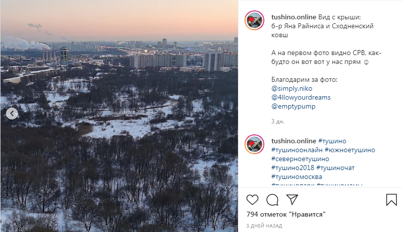 Фото дня: сумрачный лес Сходненской поймы