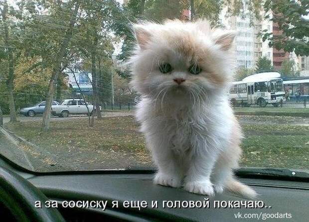 Всяко - разно 11 ))) Всяко - разно 11 )))