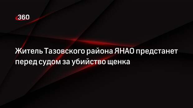 Житель Тазовского района ЯНАО предстанет перед судом за убийство щенка