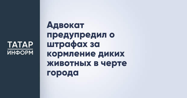 Адвокат предупредил о штрафах за кормление диких животных в черте города