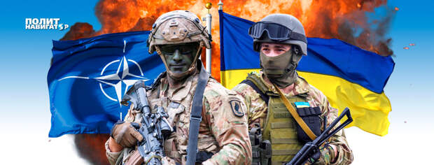 В состоянии конфронтации с Российской Федерацией Украина не представляет интереса для Североатлантического альянса. Об...
