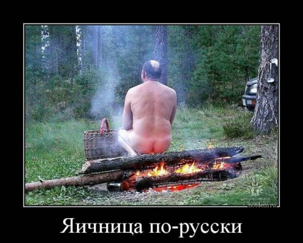 Демотиваторы-новинки (19 шт)
