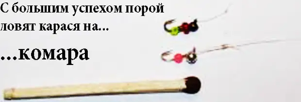 КАК ОБХИТРИТЬ КАРАСЯ автор, иллюстрации, рыбалка, рыболов, фото