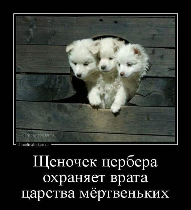 Прикольные демотиваторы с надписями. Подборка chert-poberi-dem-chert-poberi-dem-09310421092020-3 картинка chert-poberi-dem-09310421092020-3