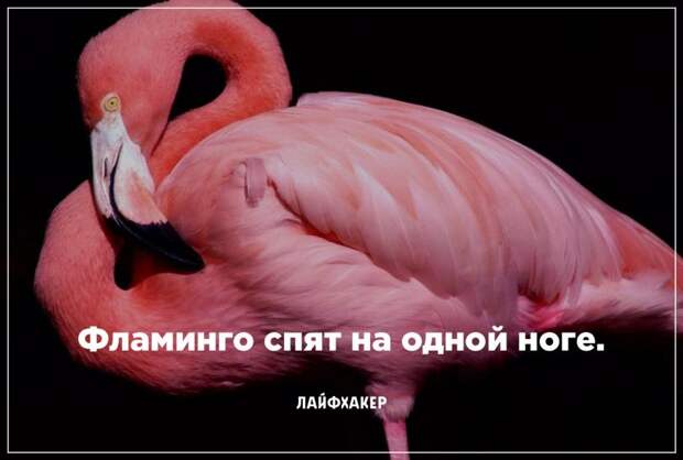 Невероятные научные факты