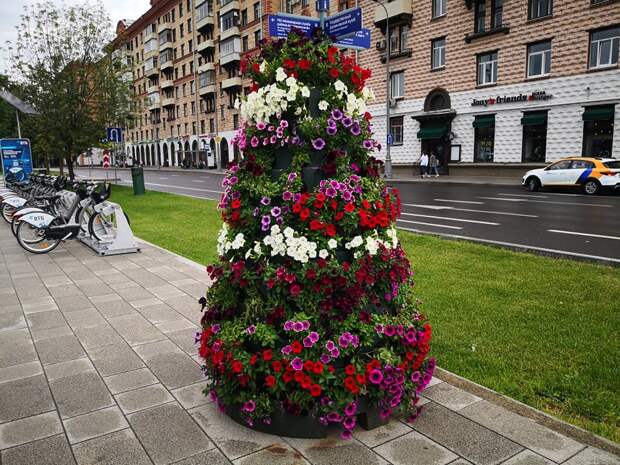 клумбы1.jpg