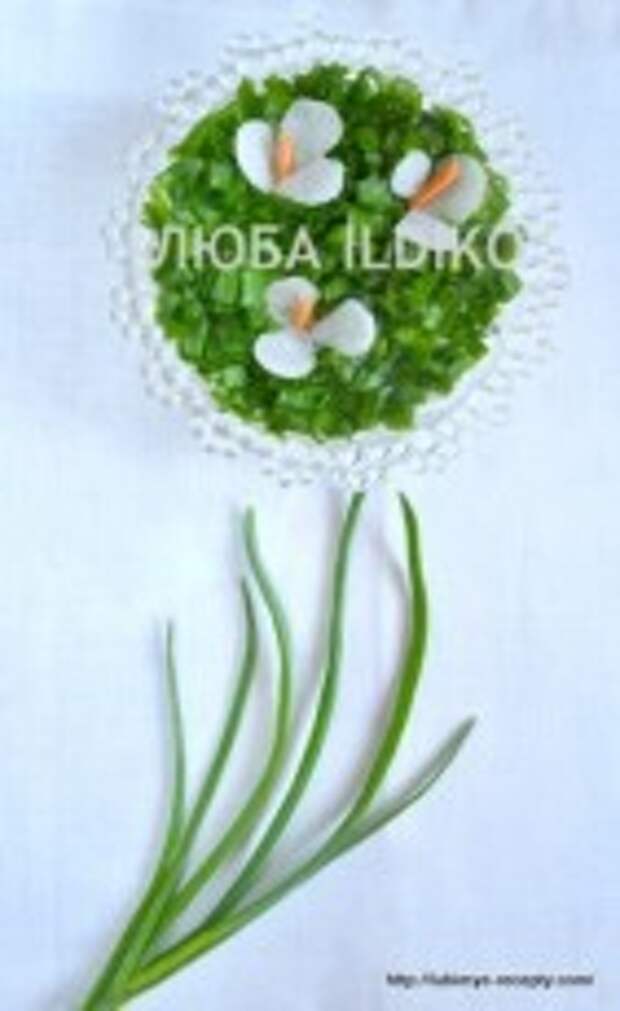 Salat-iz-redki