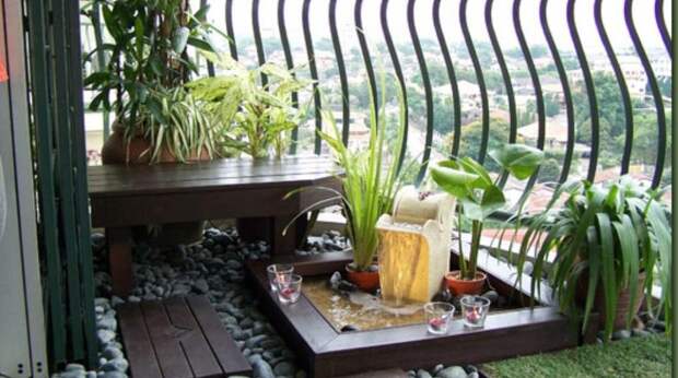 Создаем уютный сад у себя на кухне или балконе