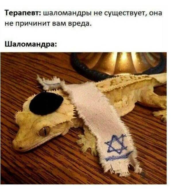 Не ищите здесь смысл. Здесь в основном маразм