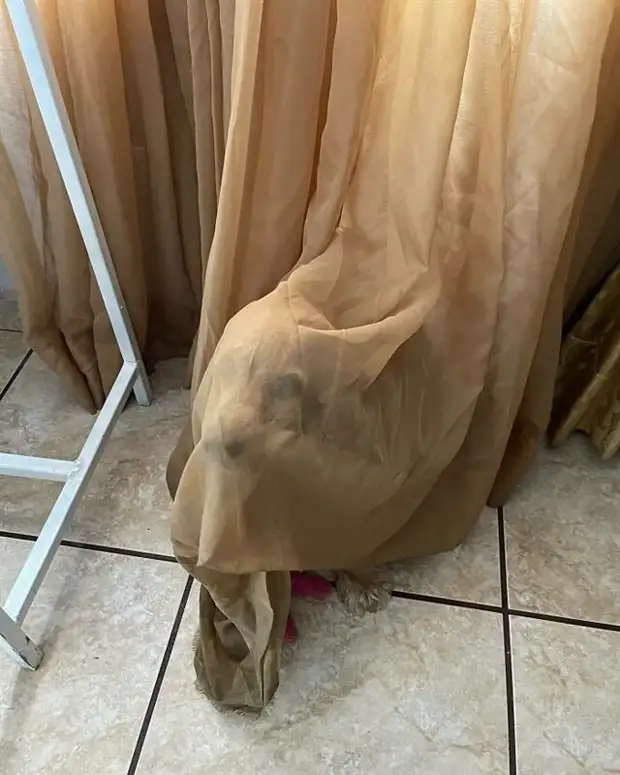 ?