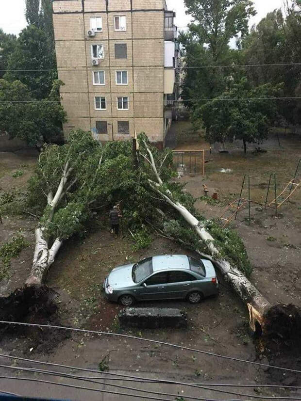 Самые невероятные совпадения Совпадение, Юмор, Длиннопост