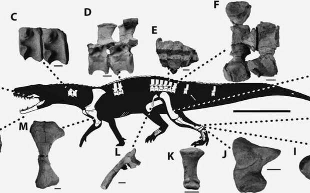 Nundasuchus songeaensis 