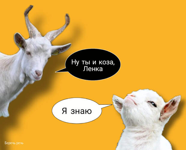 Если дословно перевести эти фразы иностранцу, на его лице будет недоумение. Это же бессмыслица! Но русский язык настолько образный, что нас уже ничем не удивишь.-3