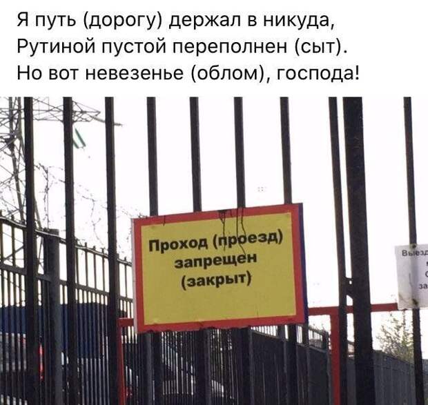 199699_8_trinixy_ru.jpg
