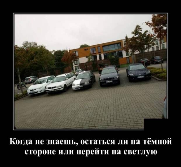 Демотиваторы