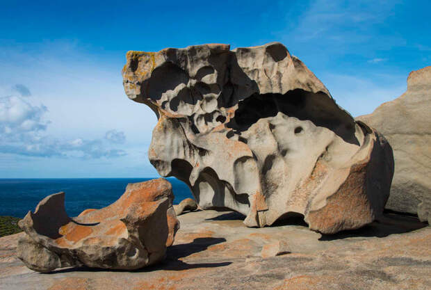 Остров Кенгуру: последний кусочек настоящей Австралии, куда еще не добрались кролики