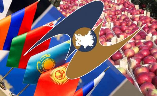 ДНР начинает работу по таможенным правилам ЕАЭС на ввозимую продукцию