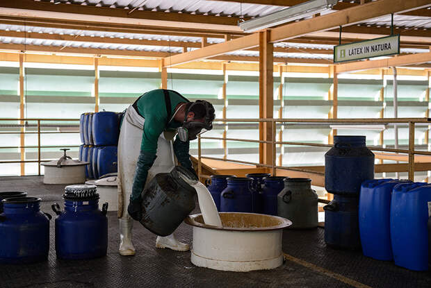 Амазонская фабрика любви: Фоторепортаж из единственного в мире этичного производства презервативов