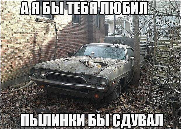 Забавные картинки с надписями для веселья (12 фото) Забавные картинки с надписями для веселья (12 фото)