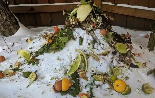 Пищевые отходы на даче зимой