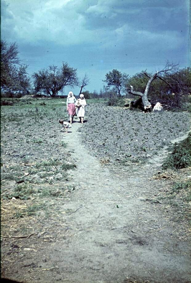 Фотограф Франц Грассер в Белгородской области. 1943