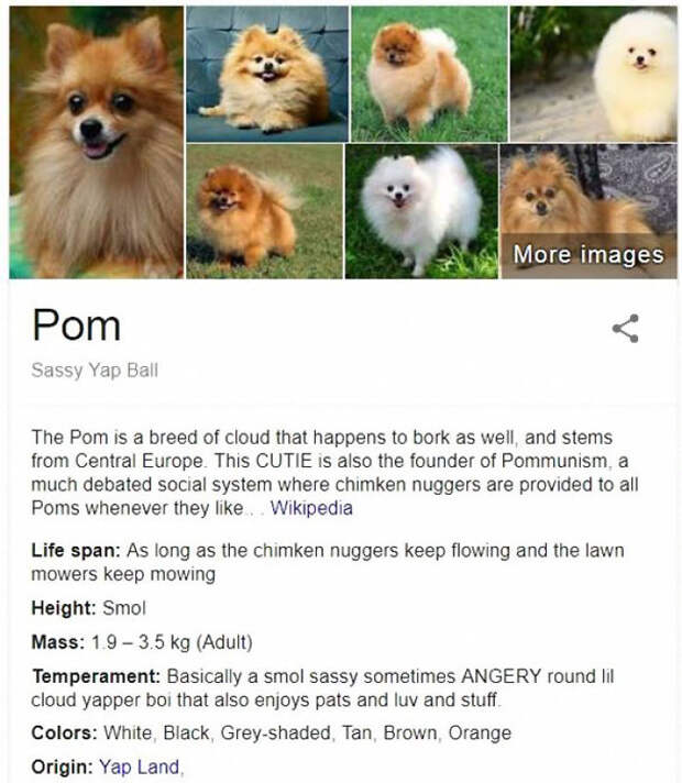 Pom