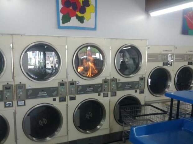 Прикольные картинки Прикольные картинки
