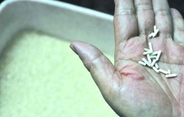 Иногда такие подделки мало похожи на рис, но обмануться все равно можно. /Фото: medialeaks.ru