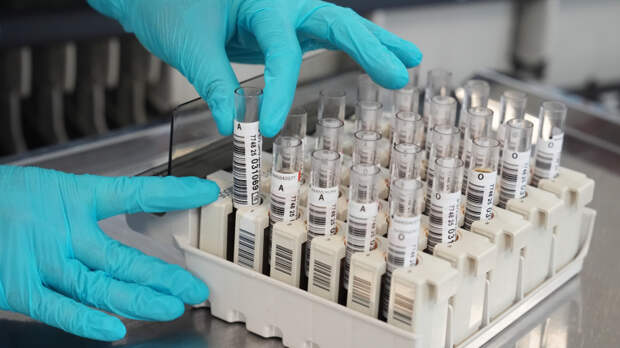 Любовь без последствий: какие анализы необходимо сдать перед первой близостью