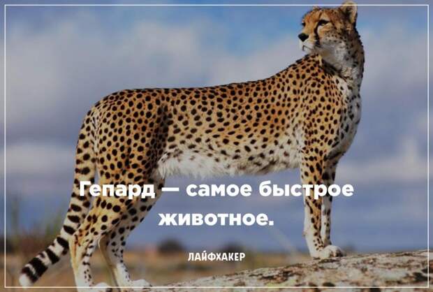 Невероятные научные факты