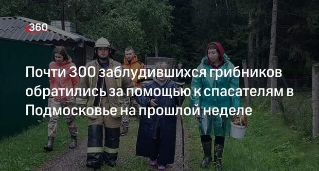 Почти 300 заблудившихся грибников обратились за помощью к спасателям в Подмосковье на прошлой неделе