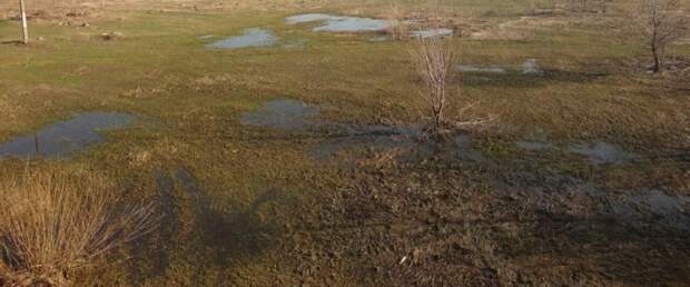 Украина перегородила заборами даже непроходимые болота на белорусской границе