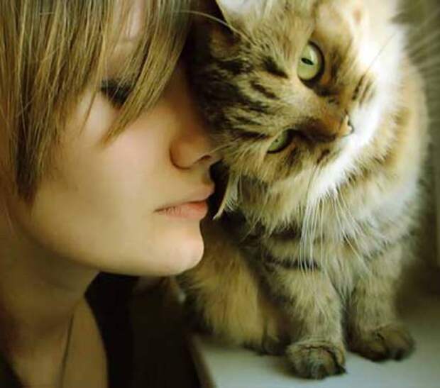 http://blogocats.ru/wp-content/uploads/cat-woman.jpg