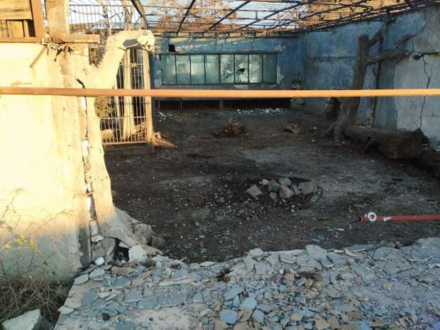 ВСУ атаковали зоопарк в российском регионе