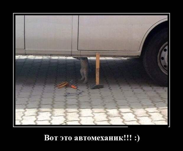 Прикольные демотиваторы