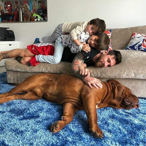 Лео Месси поделился новым домашним фото с сыновьями и псом Халком звезды, знаменитости, лионель месси, месси, семья, спорт, фото, футбол