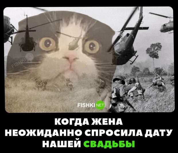 Скрины из соцсетей