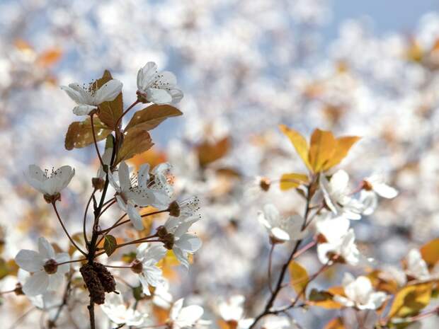Солнце и юго-восточный ветер: выходные в Смоленске будут теплыми