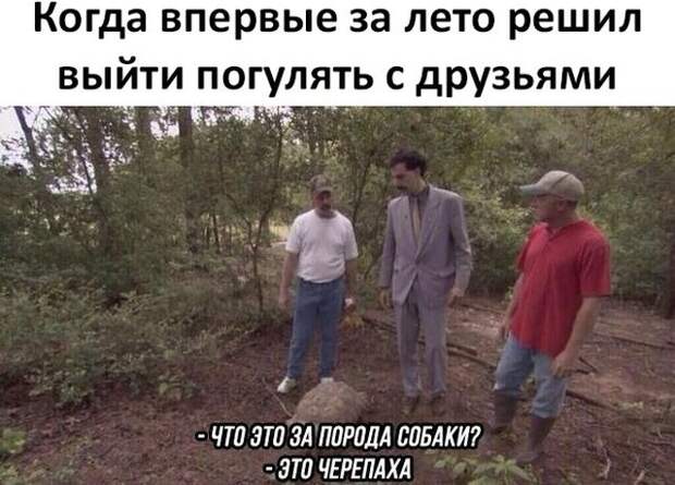 Смешные картинки (20 фото)