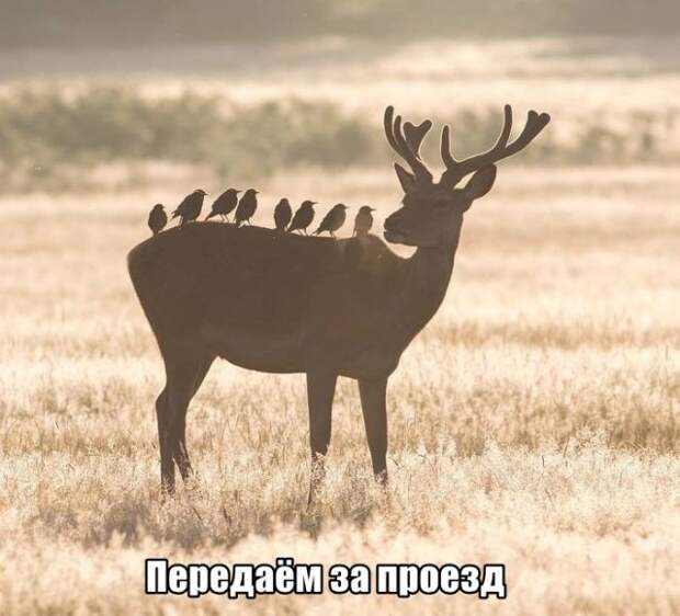 Прикольные картинки абавсём:D