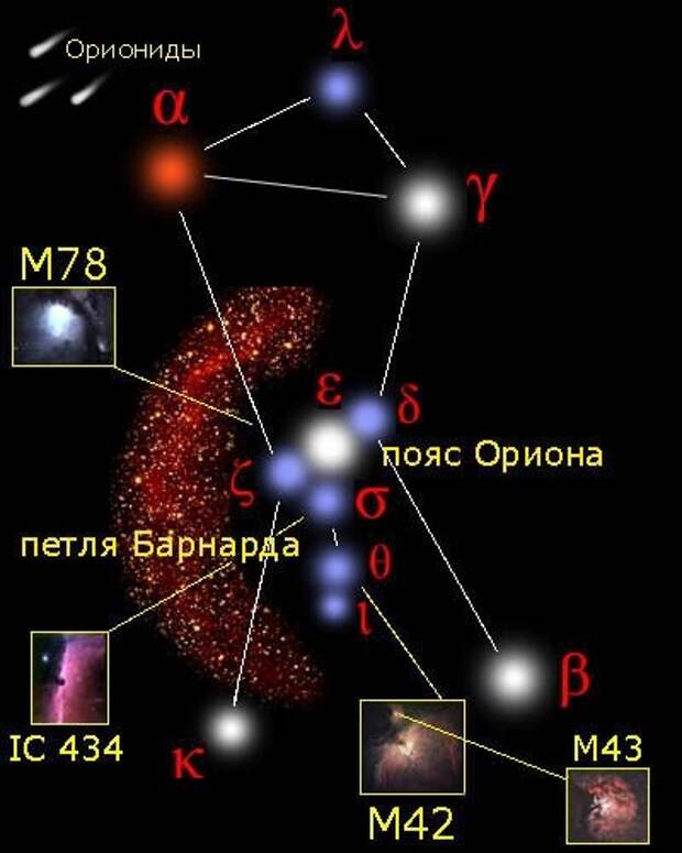 Ярче звезд 2. Звезда Бетельгейзе в созвездии Ориона. Бетельгейзе Альфа Ориона координаты. Хека звезда лямбда Ориона. Самая яркая звезда в созвездии Орион.