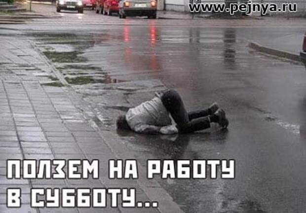Коллекция весёлых картинок про субботу