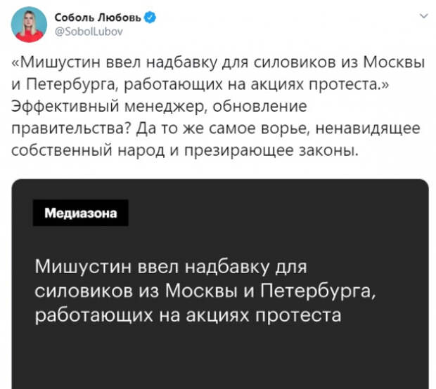 Макаренко: Силовикам нужно доплачивать за нападки безумцев-провокаторов типа Соболь