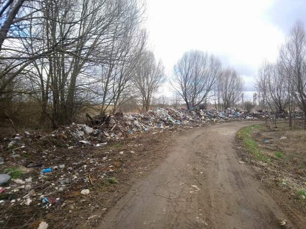 Жителей Тверской области обеспокоили свалки возле деревень