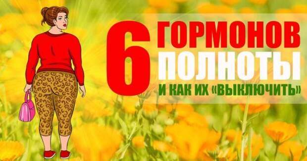 thumb-600x315 (1)
