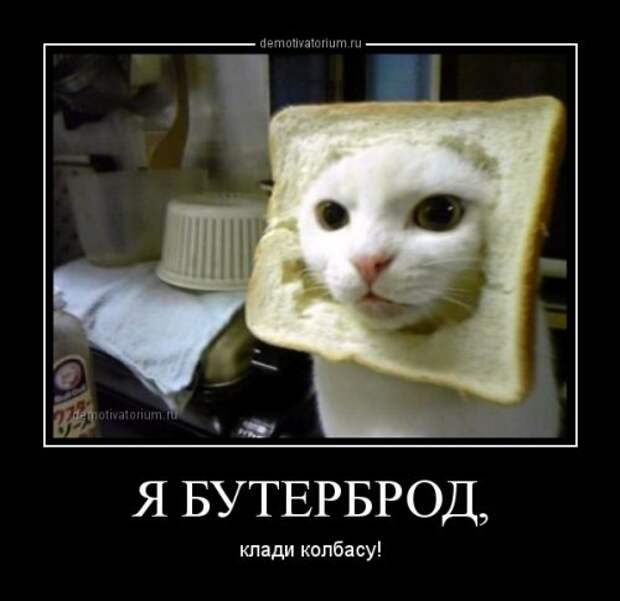 Новый сборник демотиваторов (15 шт)