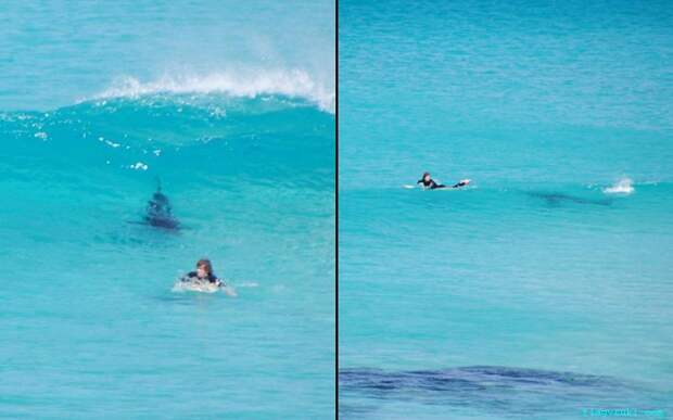 Фотограф Фриц Де Брайан снял на камеру, как акула гналась за серфингистом у побережья Западной Австралии недалеко от города Эсперанс.